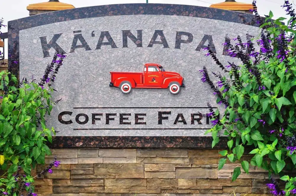 Hawaii Volcanic Coffee Farm Sign