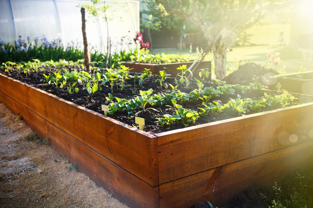 The Ultimate Guide to Creating a Self-Sustaining Garden