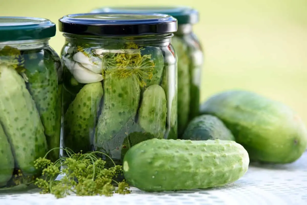 How to Tell if Pickles Are Bad: 6 Signs to Look For