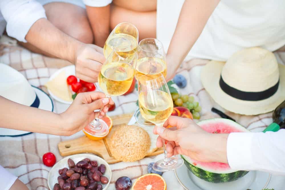 8 Best Plastic Glasses for Picnics I Really Like Food