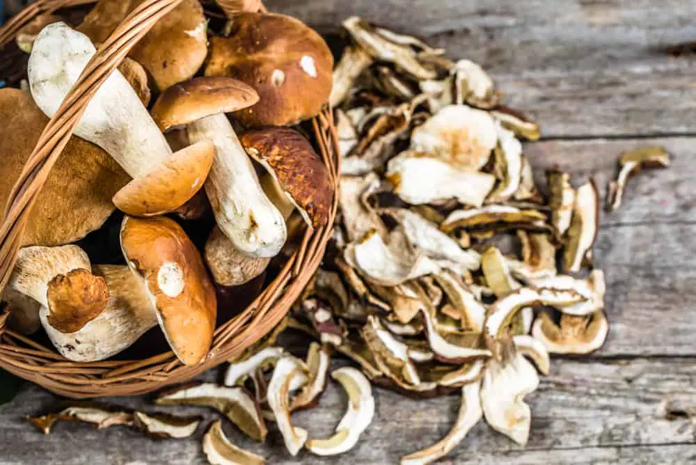 How to Reconstitute Dried Mushrooms At Home