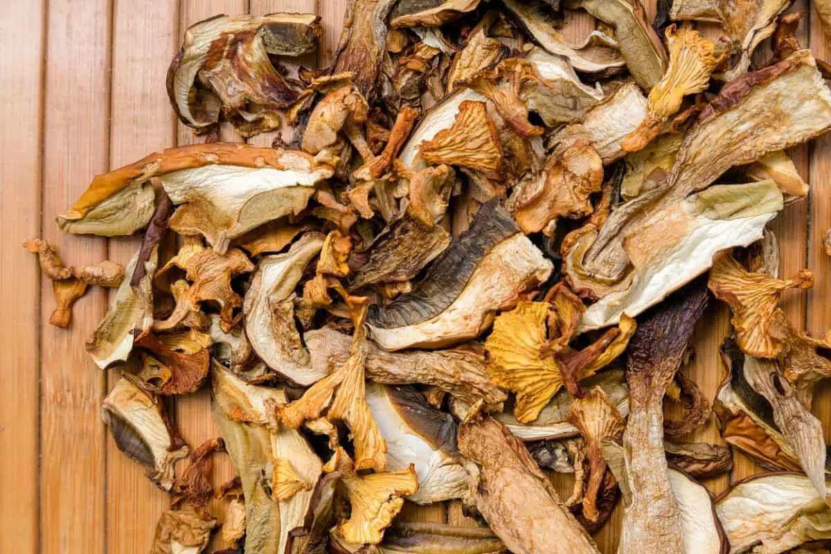 What Are Dried Mushrooms & 10 Dried Mushroom Recipes