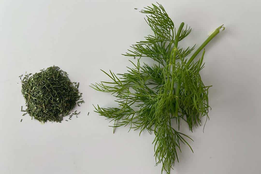 How To Use Fresh Dill For Cooking