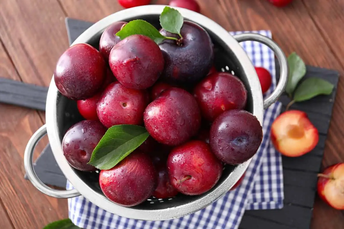 What to Do with Plums – 6 Alternative Uses