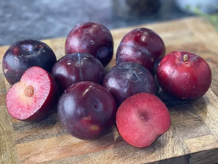 What to Do with Plums & 6 Plum Recipes