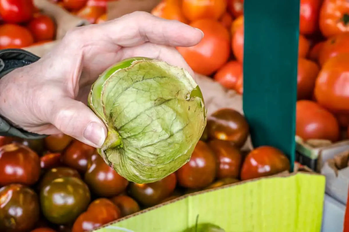 What to Do with Tomatillos – 6 Tasty Ideas!