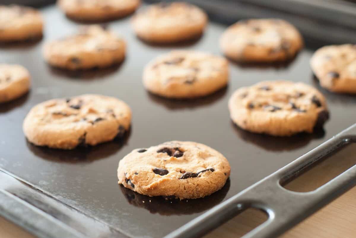 Best Whole Wheat Chocolate Chip Cookies