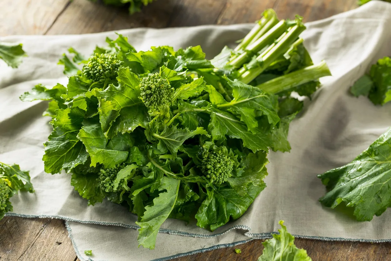 How to Cook Broccoli Rabe for Best Flavour Results