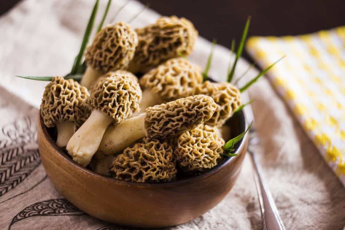 How To Cook Morel Mushrooms On The Stove