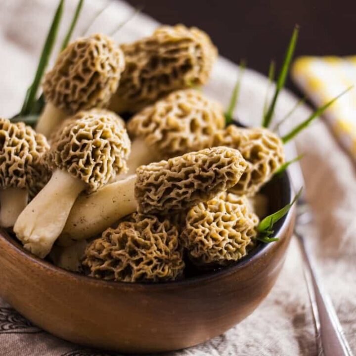 How To Cook Morel Mushrooms On The Stove
