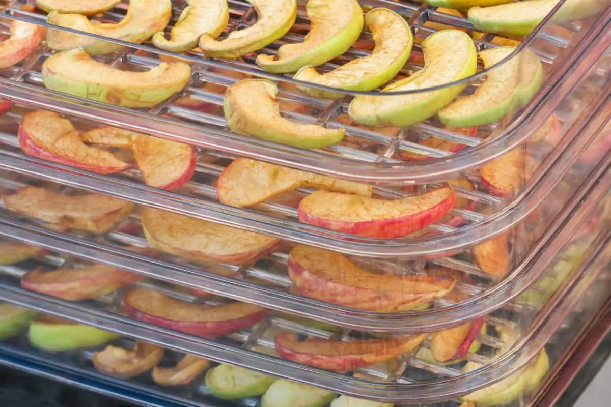 What Is the Best Food Dehydrator?