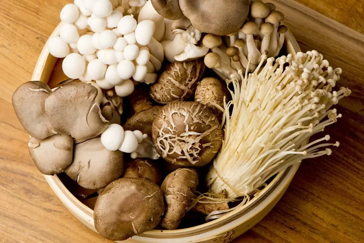 Can You Freeze Fresh Mushrooms for Later Use?