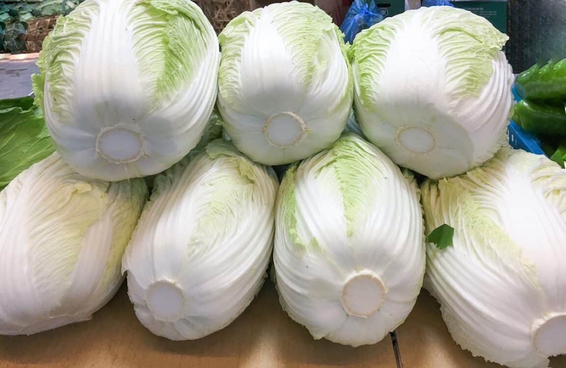 How To Cook Napa Cabbage