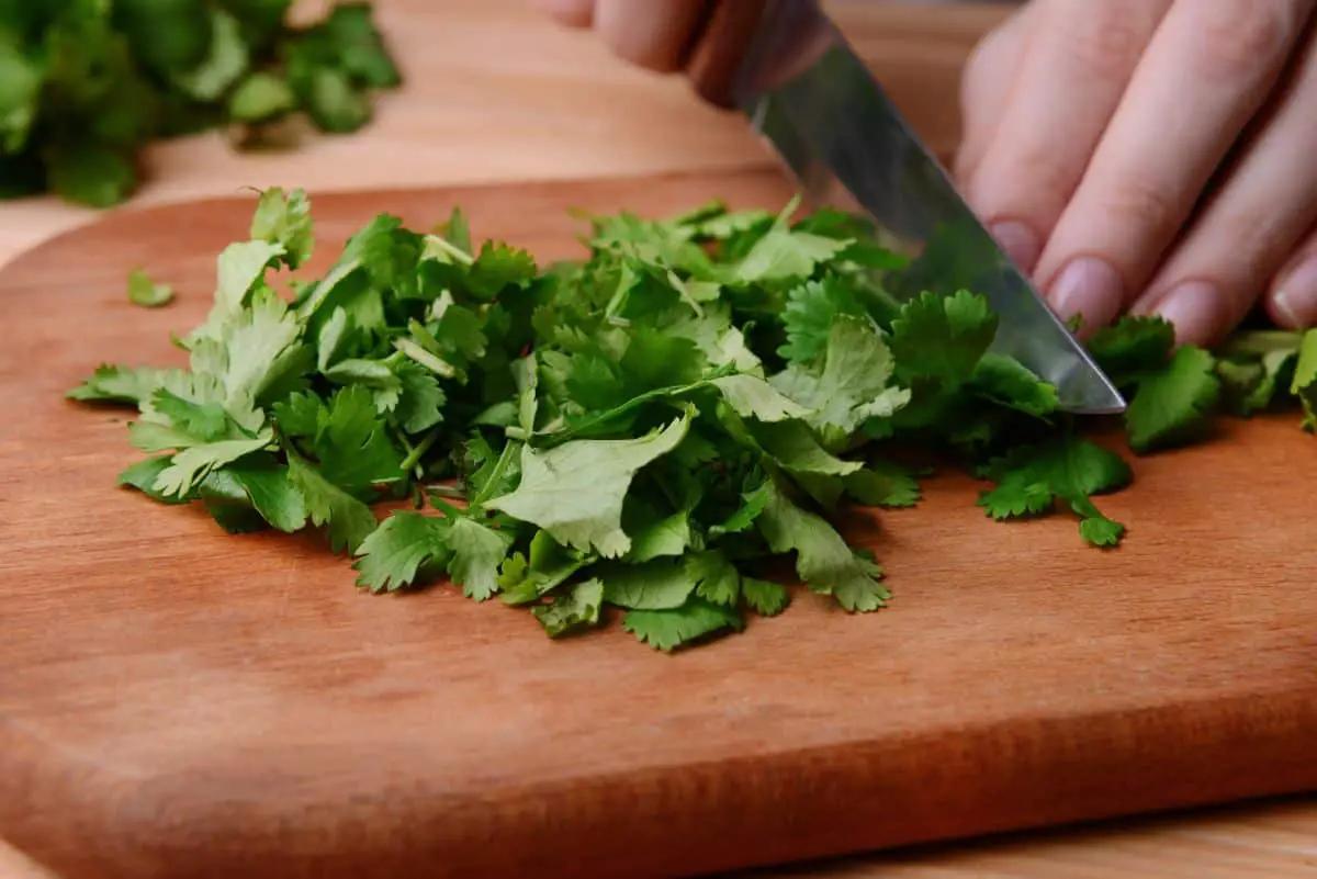 Chopped Cilantro