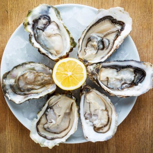 How‌ ‌To‌ ‌Cook‌ ‌Oysters?‌