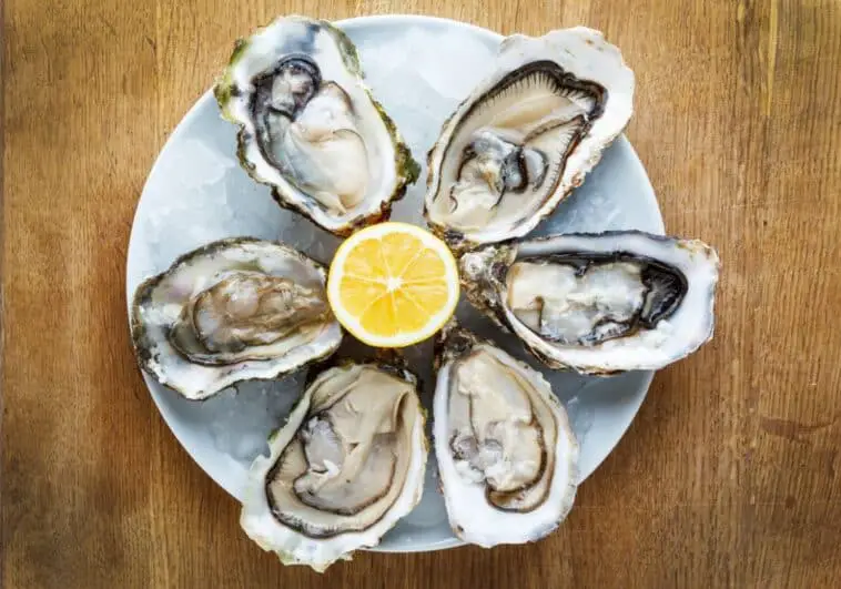 How‌ ‌To‌ ‌Cook‌ ‌Oysters?‌