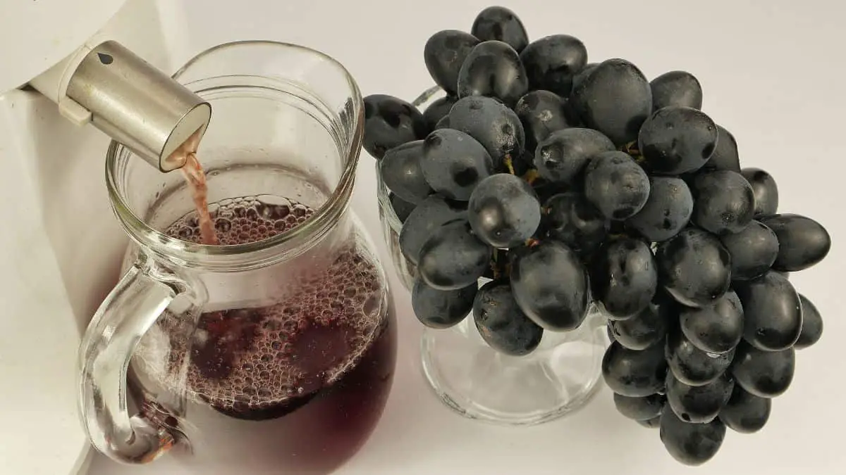 Grape Extract from Juicer