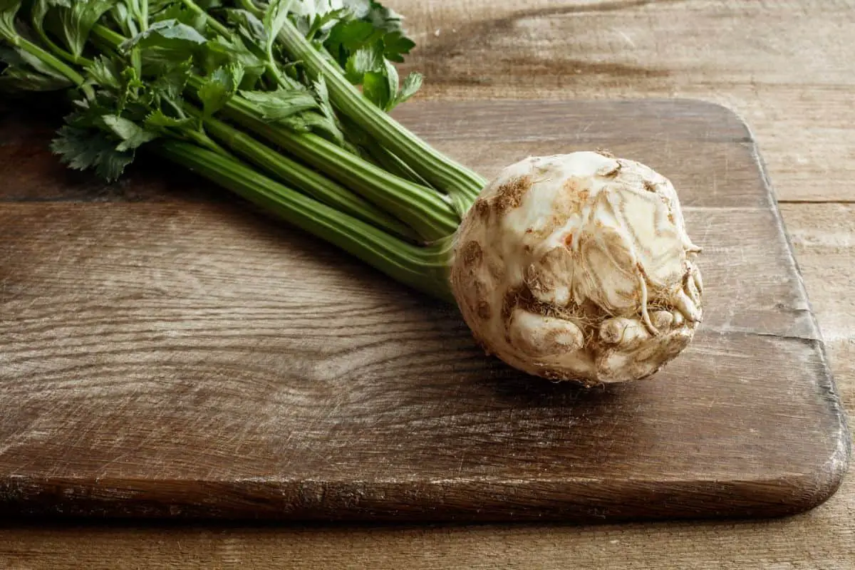 How To Prepare Celery Root?