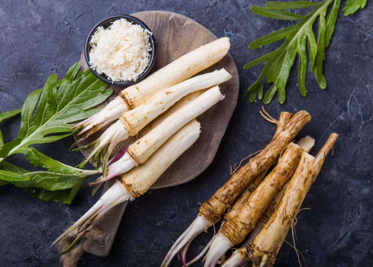 How to Prepare Horseradish
