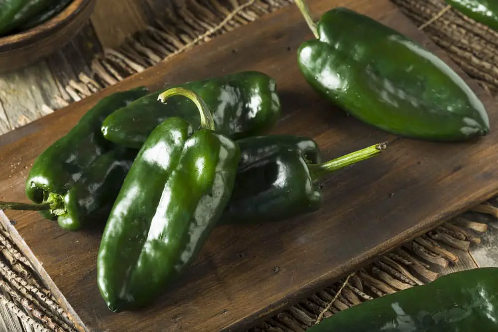 How to Roast Poblano Peppers?