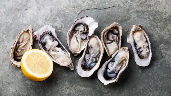 Best Ways to Cook Oysters in the Shell