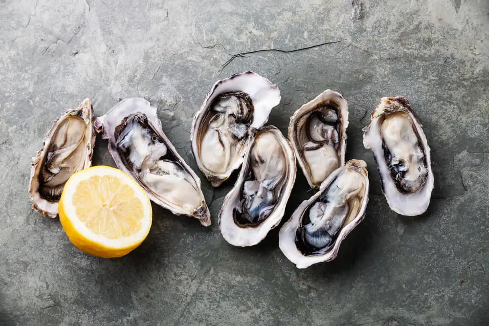 Best Ways to Cook Oysters in the Shell