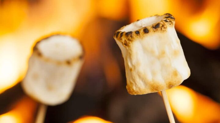 How to Roast Marshmallows Without A Fire