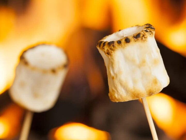 How to Roast Marshmallows Without A Fire