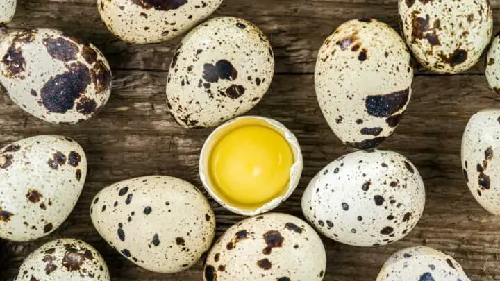 How Long to Cook Quail Eggs: A Complete Guide