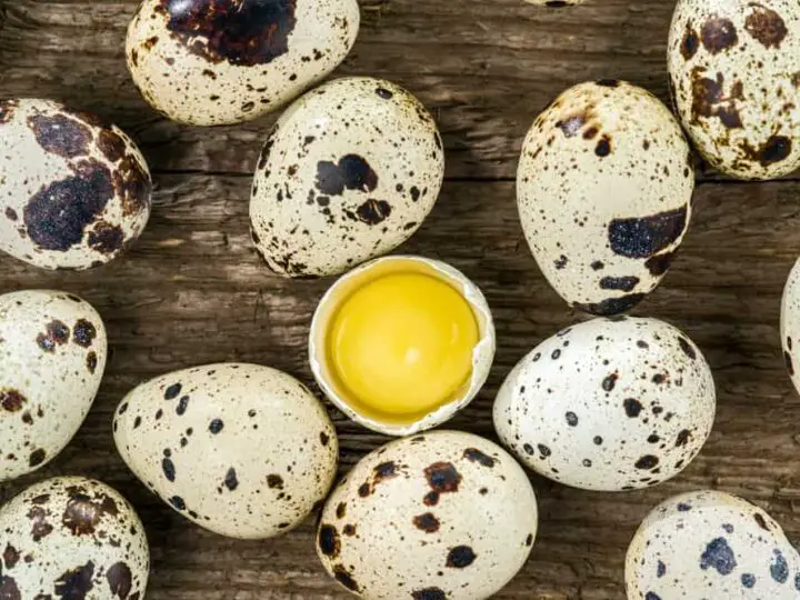 How Long to Cook Quail Eggs: A Complete Guide