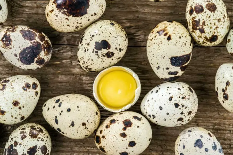How Long To Cook Quail Eggs A Complete Guide
