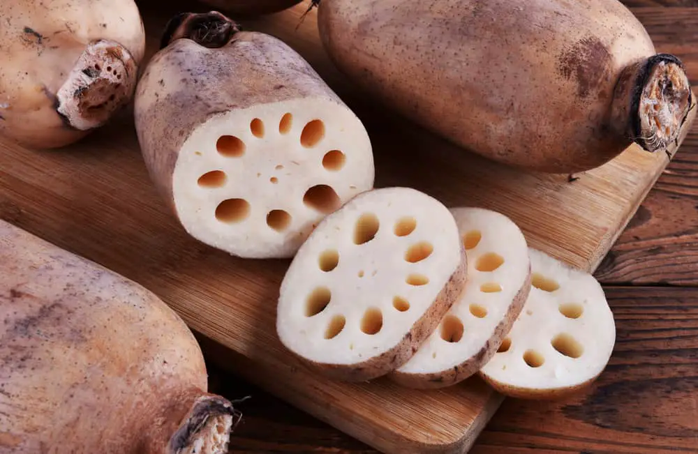 How to Grow, Cook and Eat Lotus Root