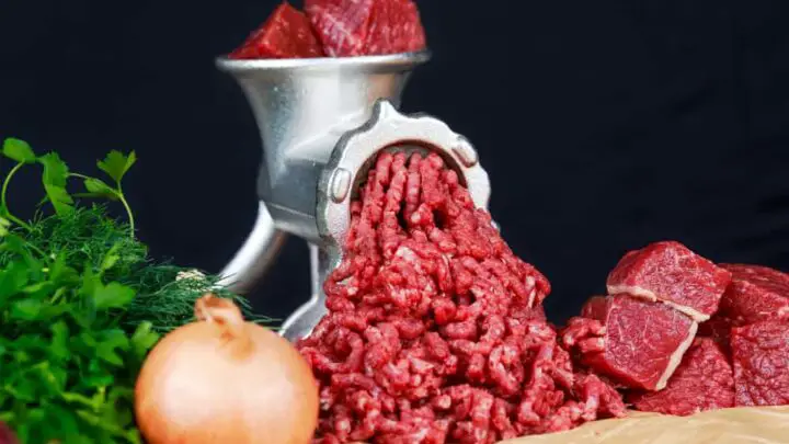 grind meat