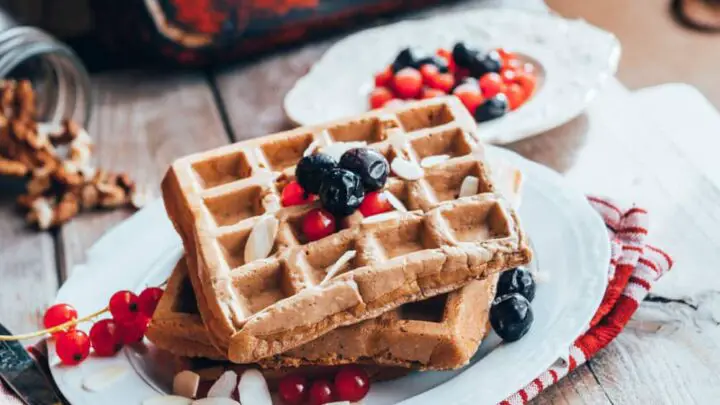 protein waffle