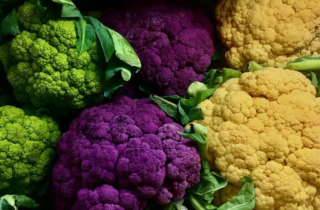 How To Know When Cauliflower Is Bad