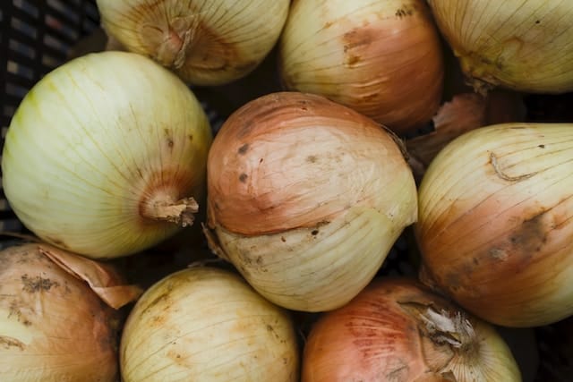 Your Go-To Guide for Shallot Substitutes!